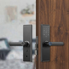Smart Locks for Wooden Doors