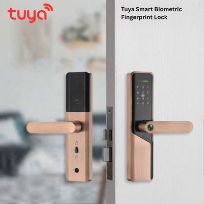 Tuya Wi-Fi Smart Biometric Fingerprint Door Lock with Keypad & App Control – Rose Gold