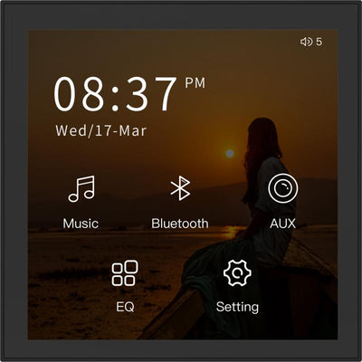 Hikvision DS-QAE0A40G1W-RB Wall-Mounted Touchscreen Amplifier (1/2)