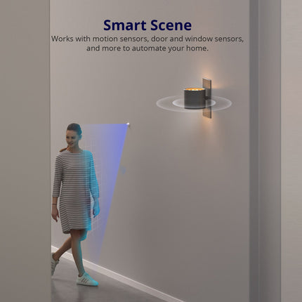 SONOFF MINIR4 MINI Extreme Wi-Fi Smart Switch (8/12)