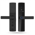Spark WL-53 Smart Lock for Steel and Wooden Doors – Fingerprint, Password, Card & Tuya Wi-Fi