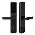 Tuya WiFi Smart Door Lock – Fingerprint, Password, Card & App Control