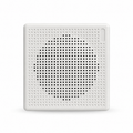 Hikvision 3W 100V Analog Cabinet Speaker – DS-QAE0103G1E-V